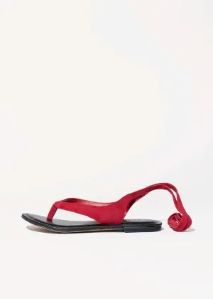 Alicia Thong Sandal
