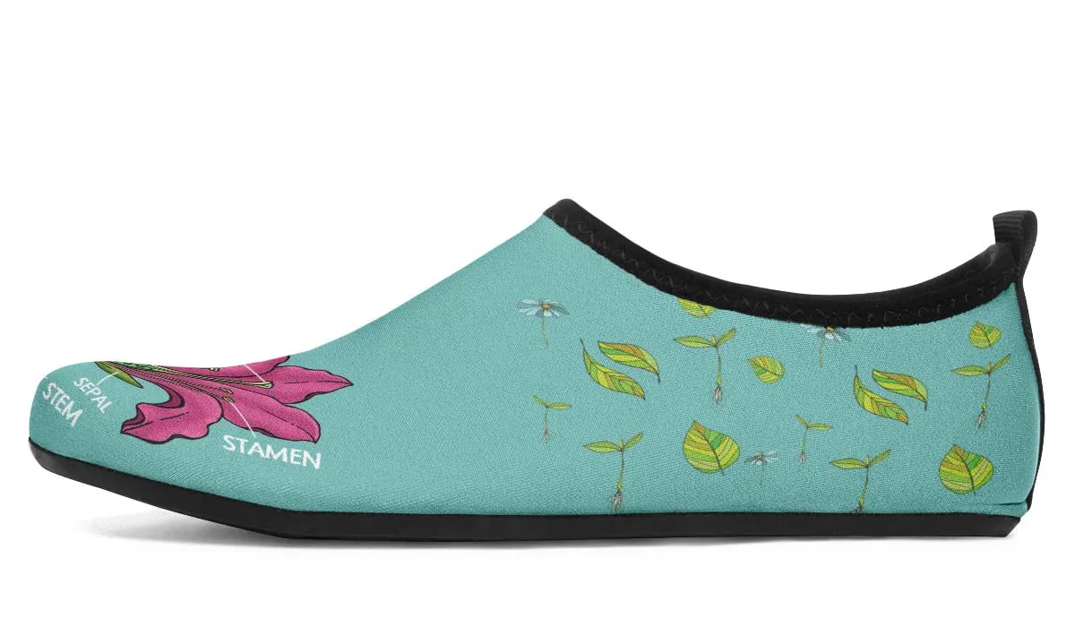 Botany Diagram Aqua Barefoot Shoes