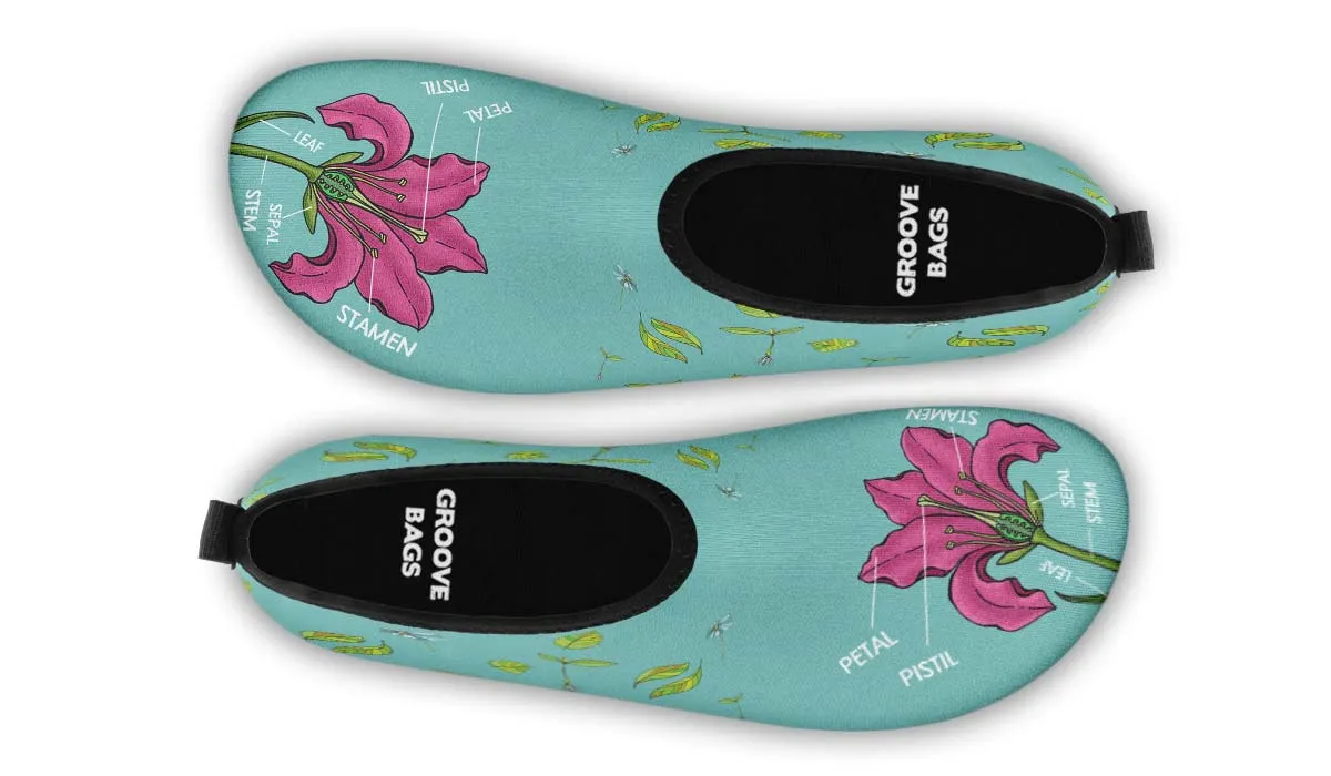 Botany Diagram Aqua Barefoot Shoes