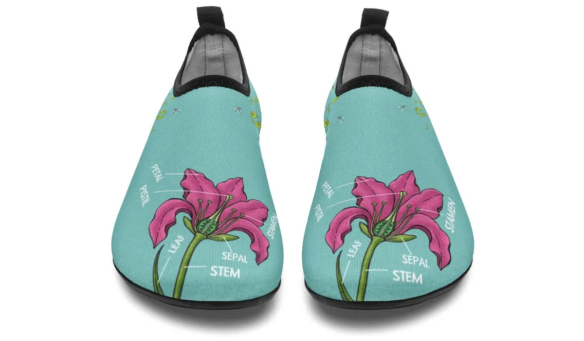 Botany Diagram Aqua Barefoot Shoes