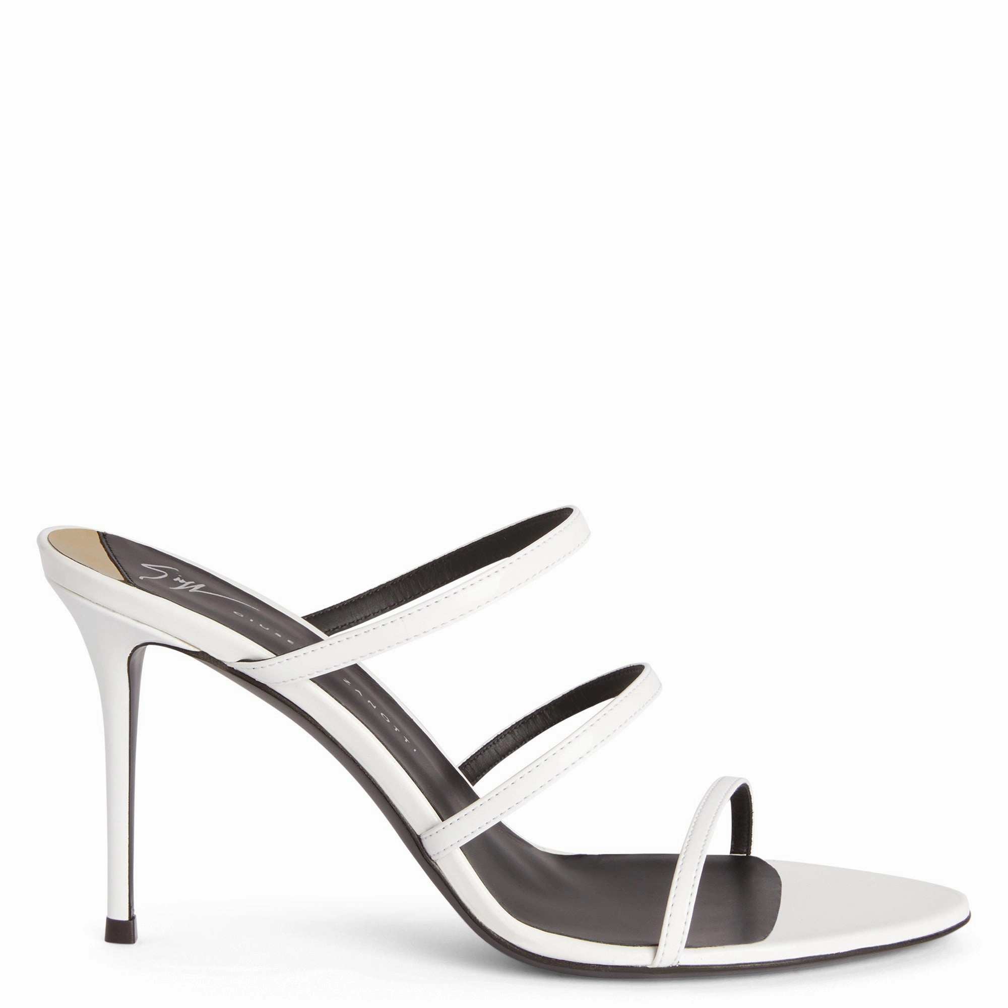 Giuseppe Zanotti Alimha