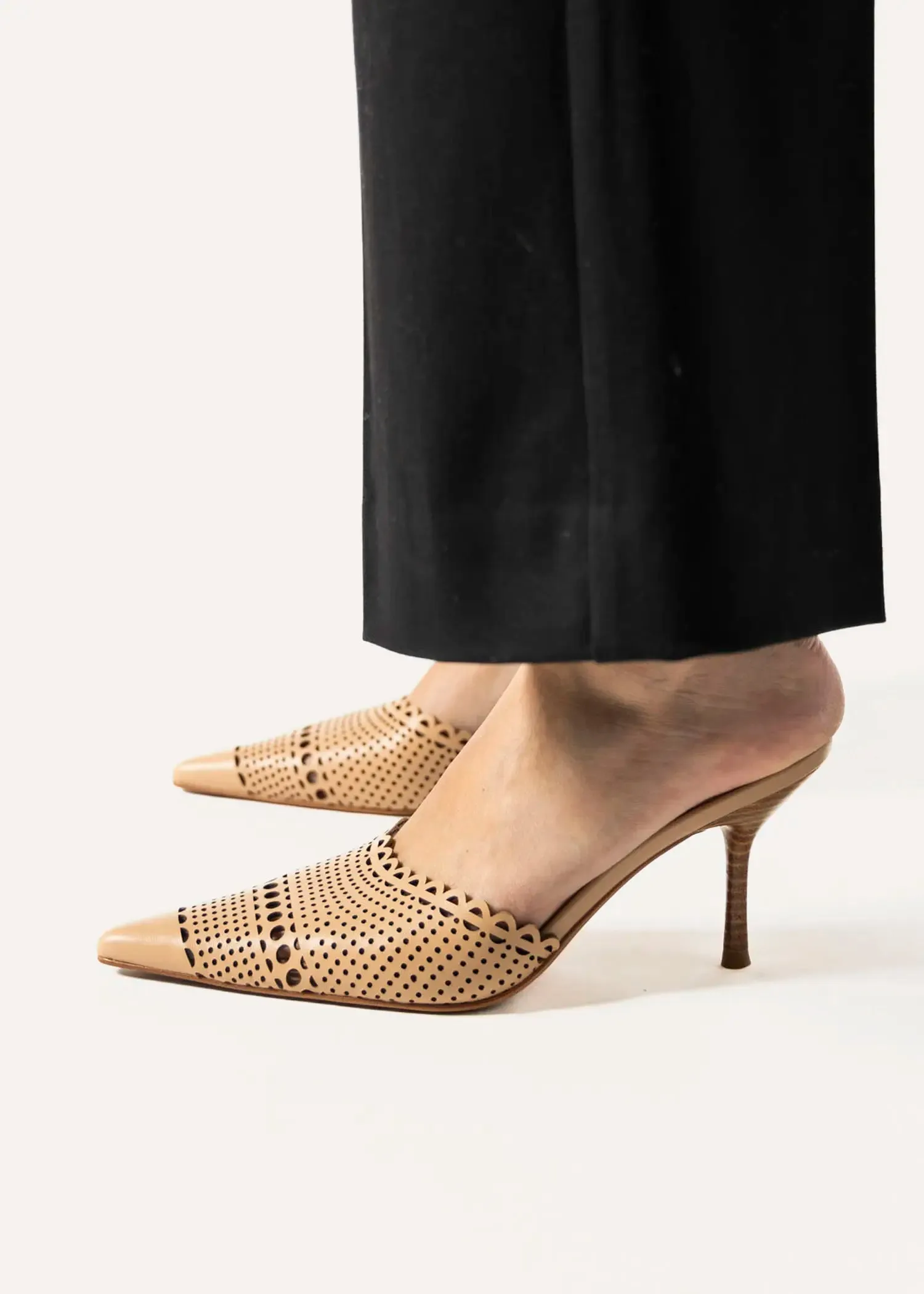 Iryna Pointed Toe Mule