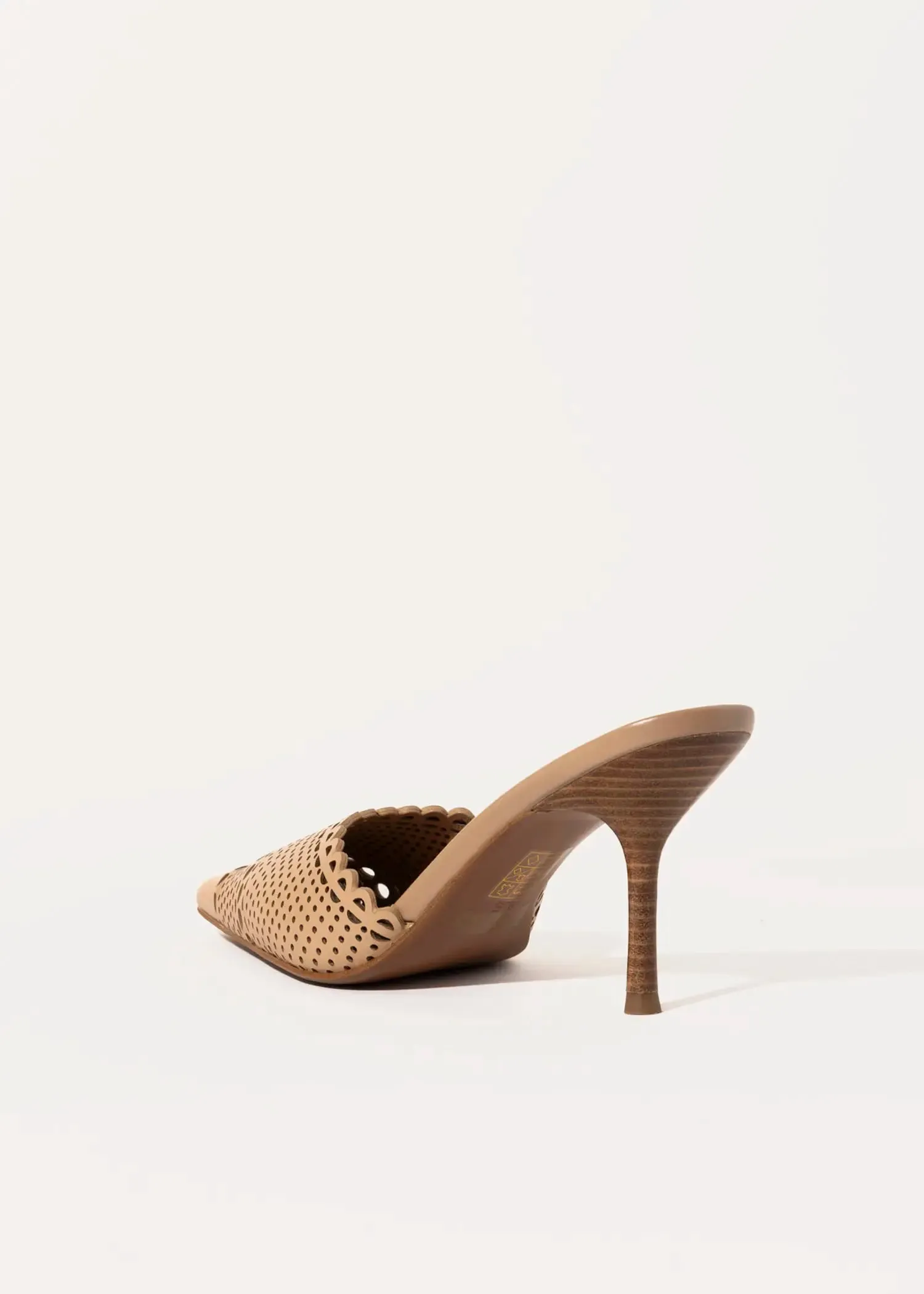 Iryna Pointed Toe Mule