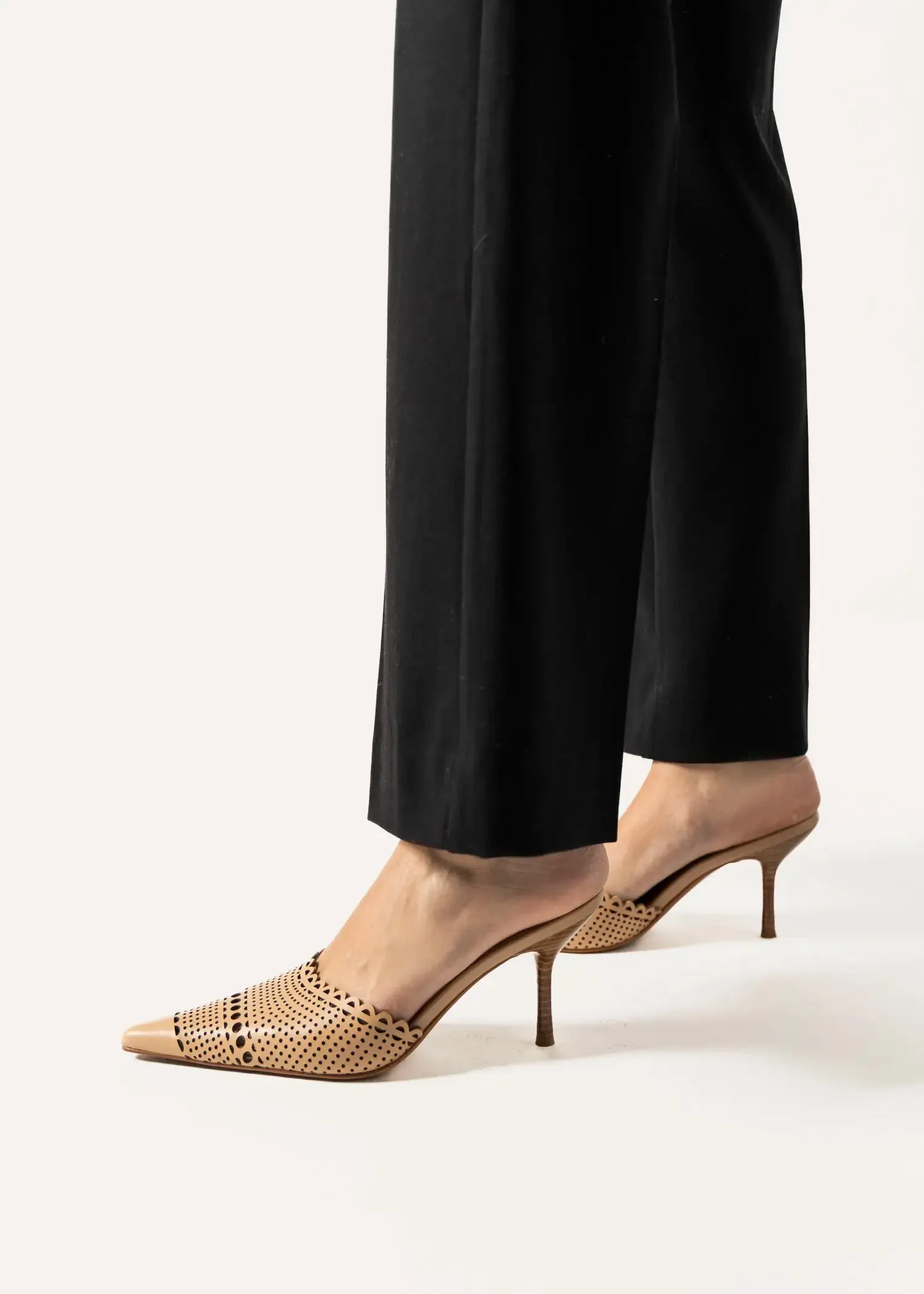 Iryna Pointed Toe Mule