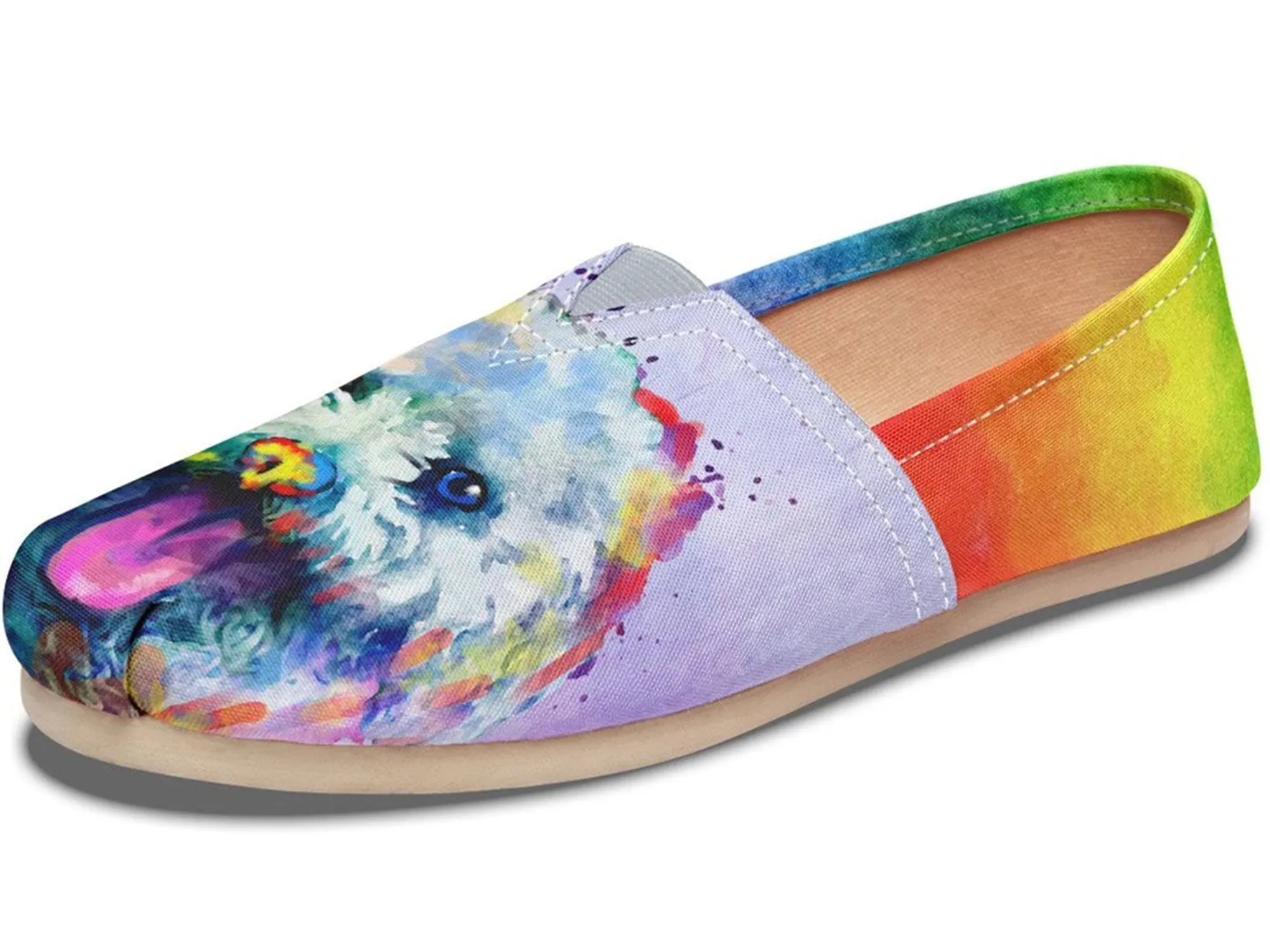 Rainbow Bichon Casual Shoes