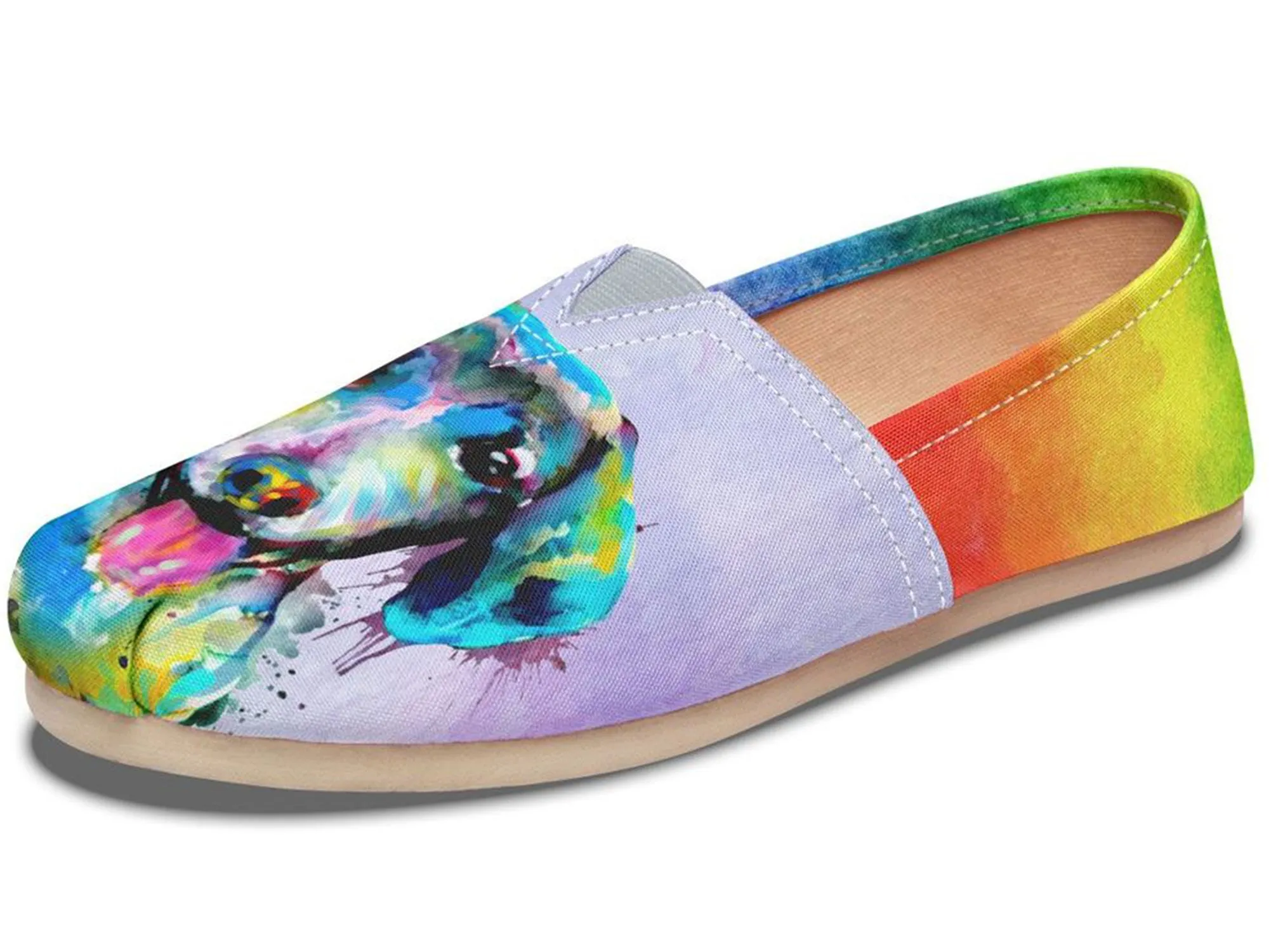 Rainbow Dachshund Casual Shoes