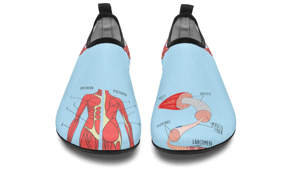 Skeletal Muscle Aqua Barefoot Shoes