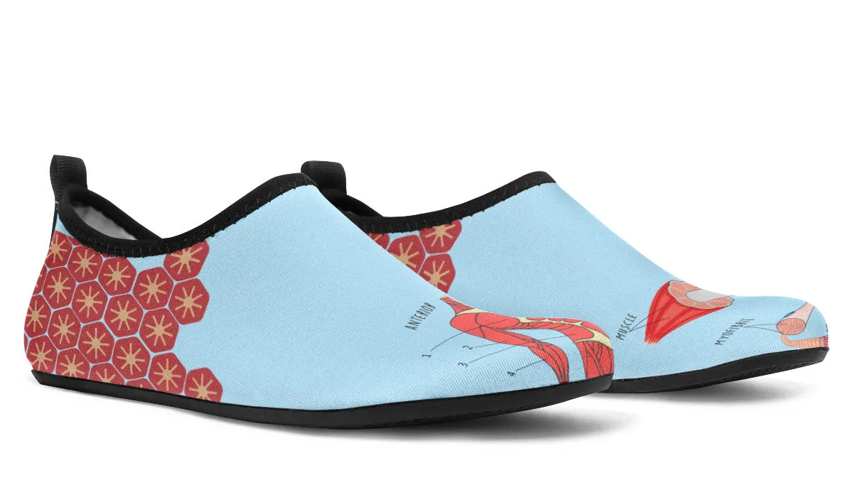 Skeletal Muscle Aqua Barefoot Shoes