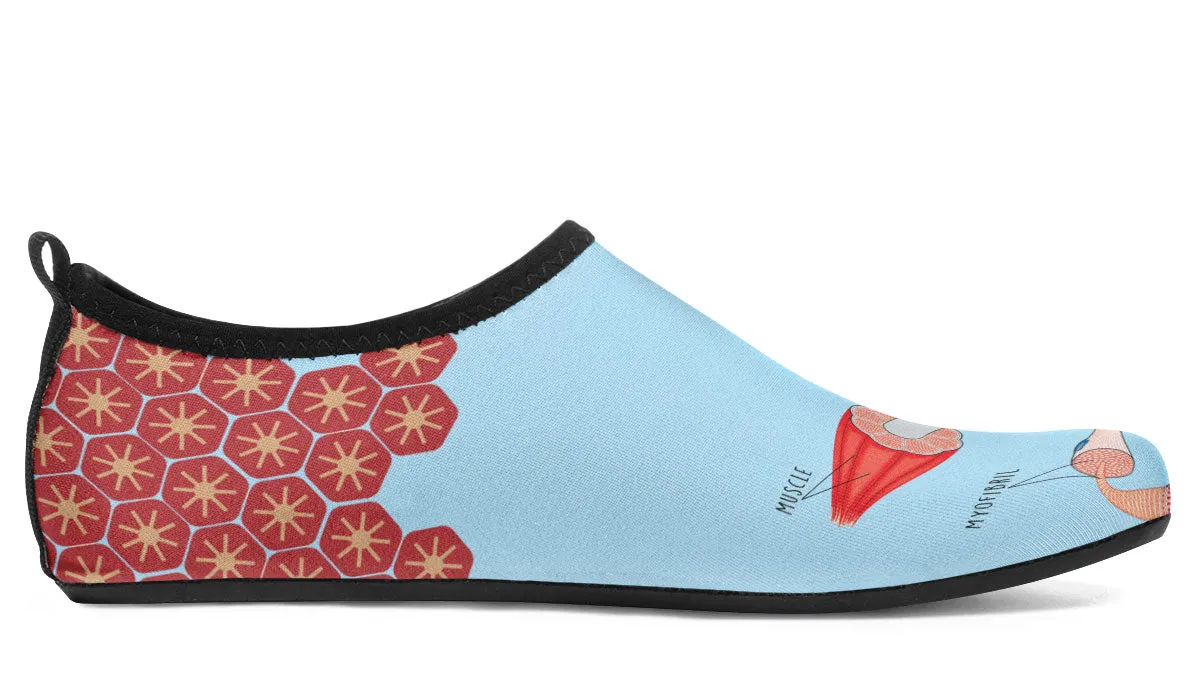 Skeletal Muscle Aqua Barefoot Shoes