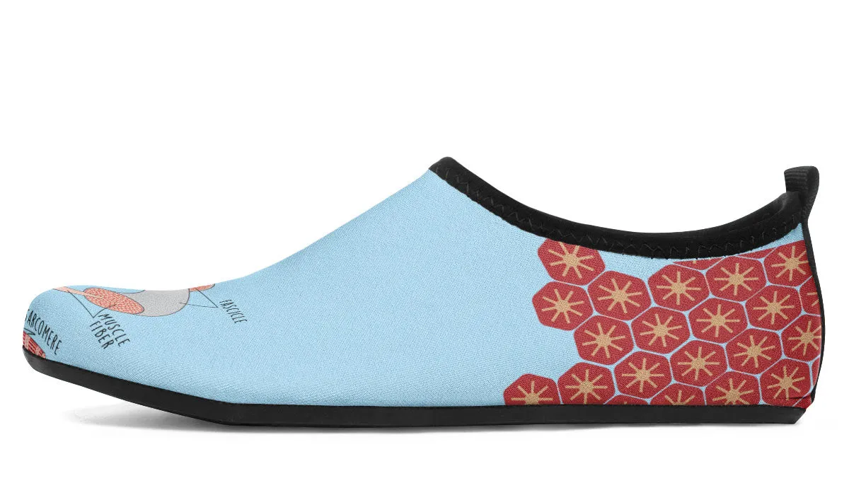 Skeletal Muscle Aqua Barefoot Shoes