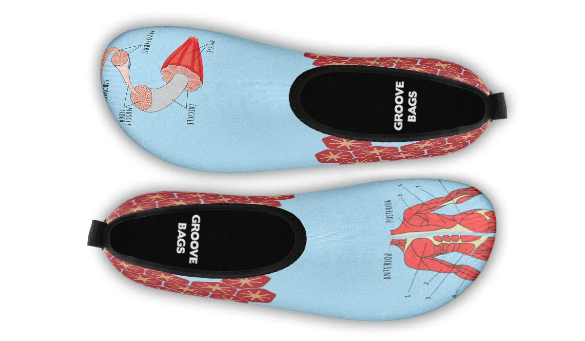 Skeletal Muscle Aqua Barefoot Shoes