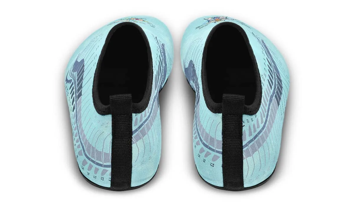 Spine Diagram Aqua Barefoot Shoes