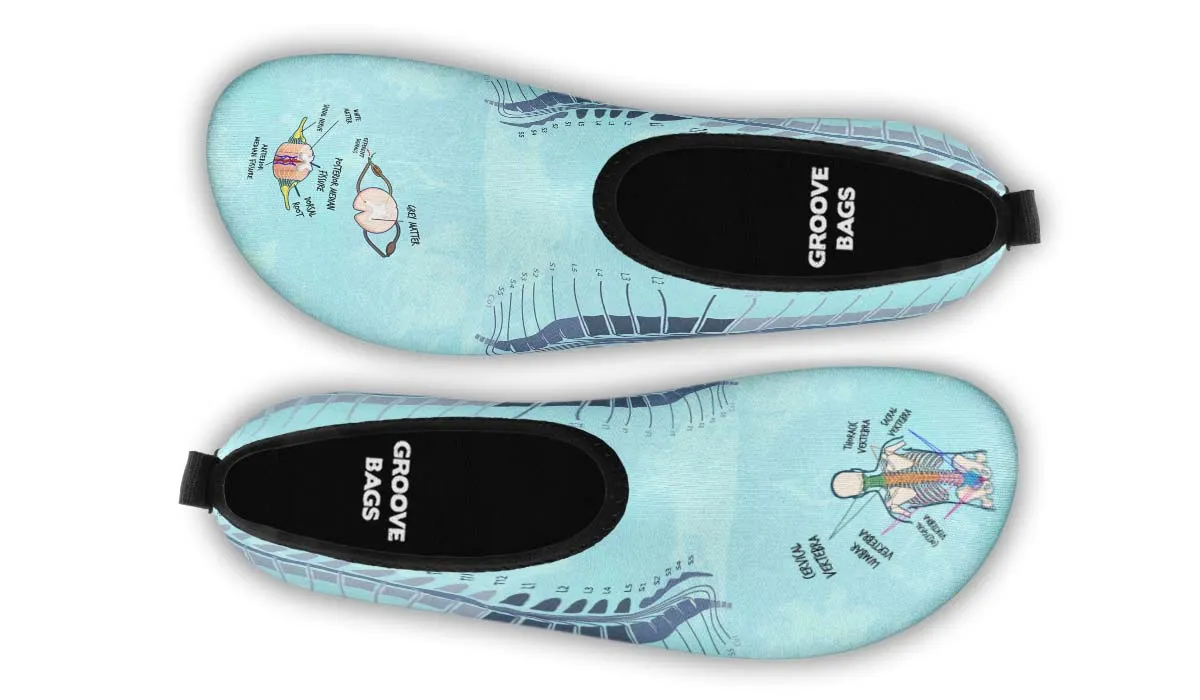 Spine Diagram Aqua Barefoot Shoes