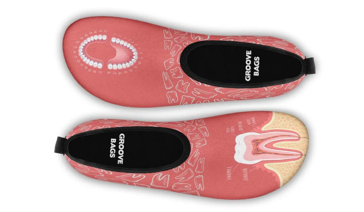 Teeth Anatomy Aqua Barefoot Shoes