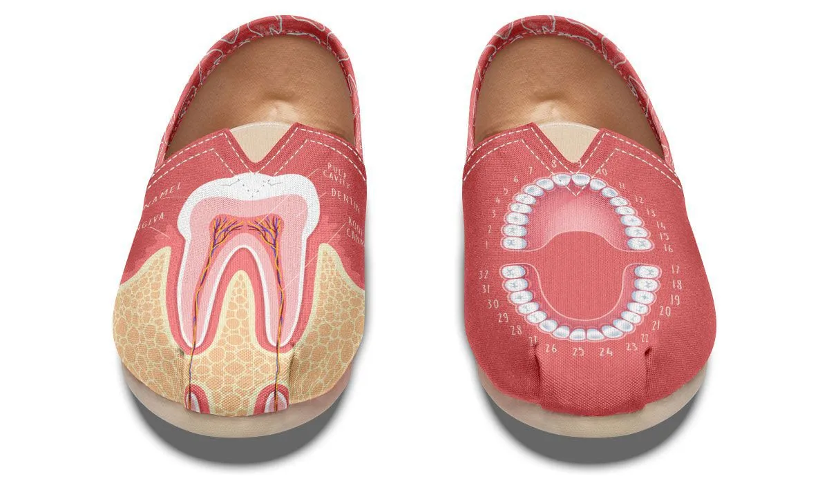 Teeth Anatomy Casual Shoes