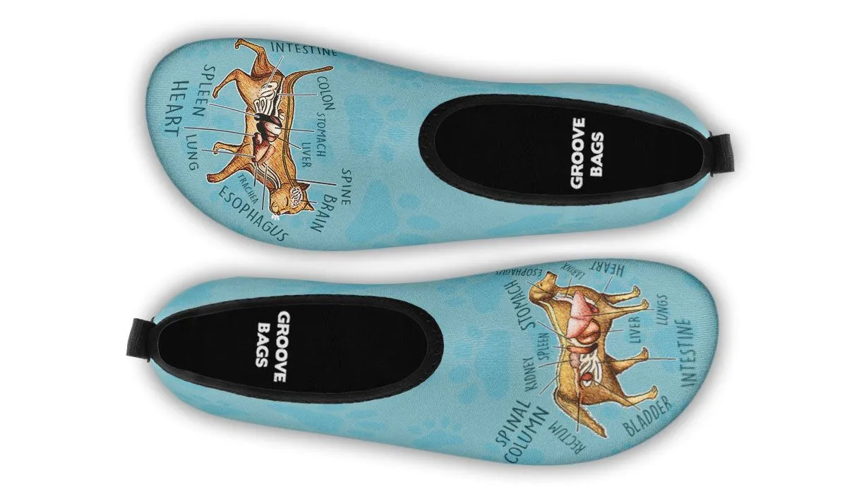 Veterinary Diagram Aqua Barefoot Shoes