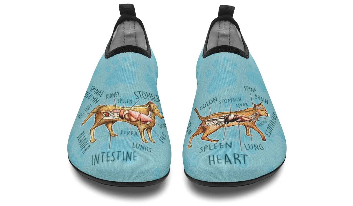 Veterinary Diagram Aqua Barefoot Shoes
