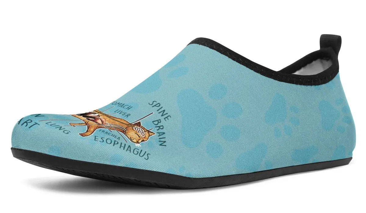 Veterinary Diagram Aqua Barefoot Shoes