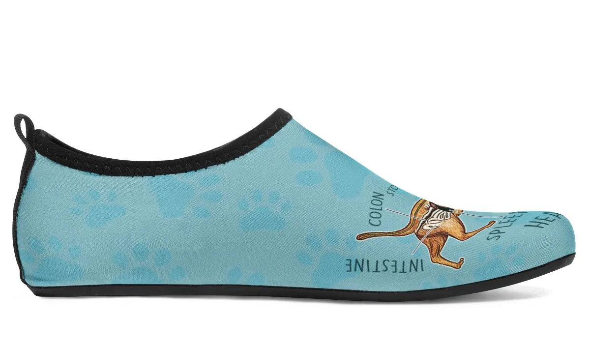 Veterinary Diagram Aqua Barefoot Shoes
