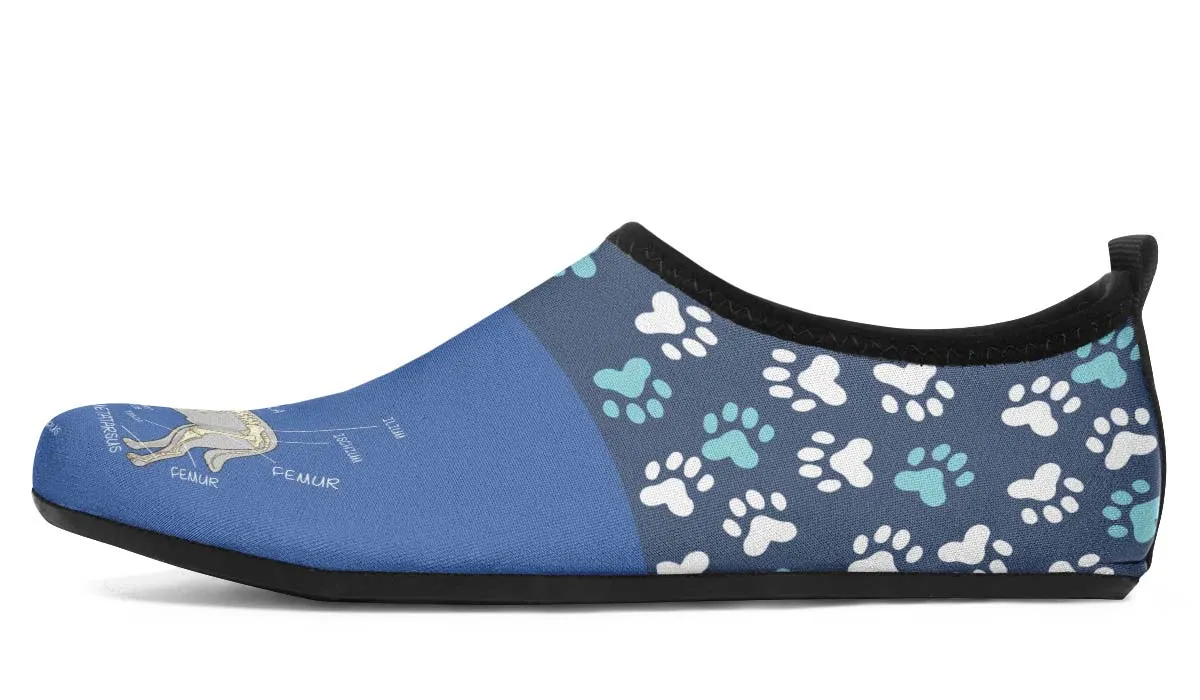 Veterinary Skeletal Diagram Aqua Barefoot Shoes