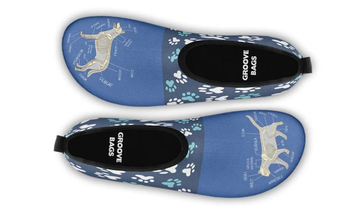 Veterinary Skeletal Diagram Aqua Barefoot Shoes