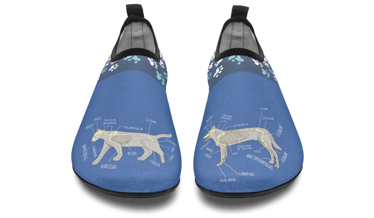 Veterinary Skeletal Diagram Aqua Barefoot Shoes