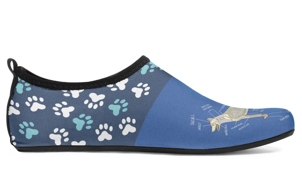 Veterinary Skeletal Diagram Aqua Barefoot Shoes