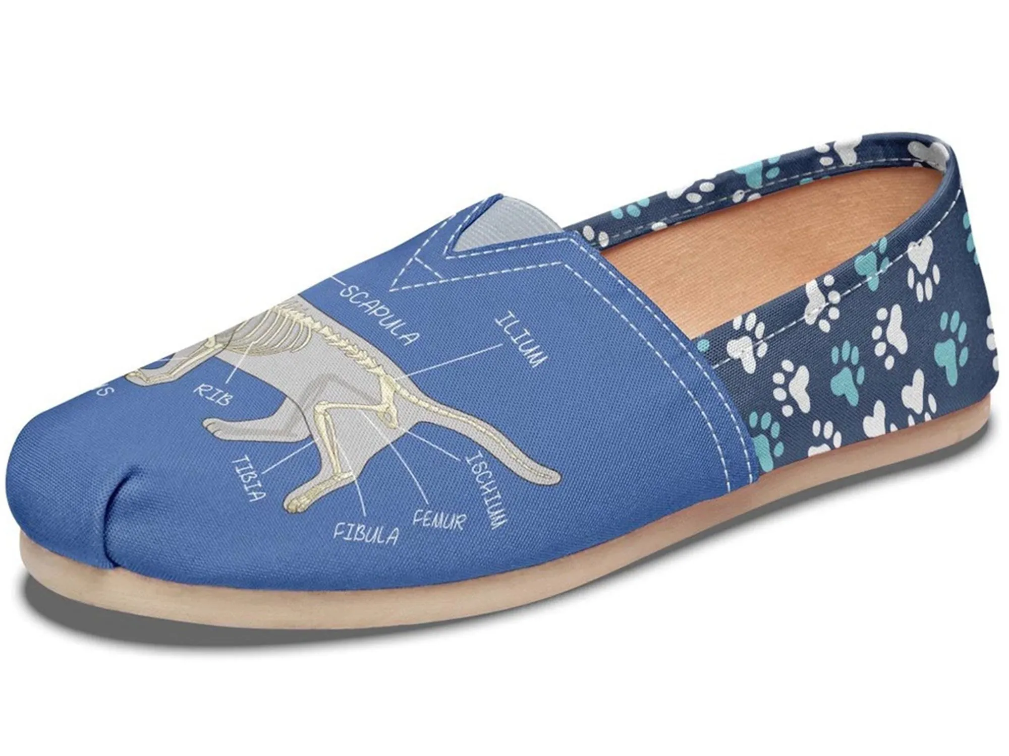 Veterinary Skeletal Diagram Casual Shoes