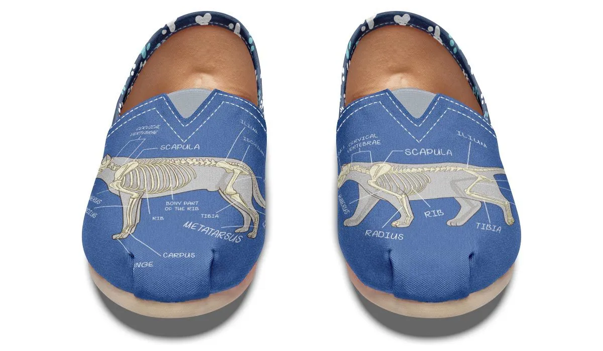 Veterinary Skeletal Diagram Casual Shoes