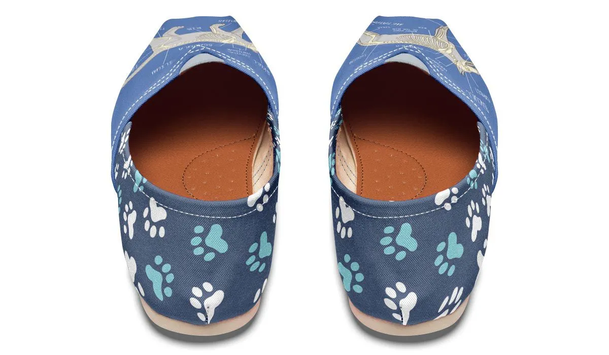 Veterinary Skeletal Diagram Casual Shoes
