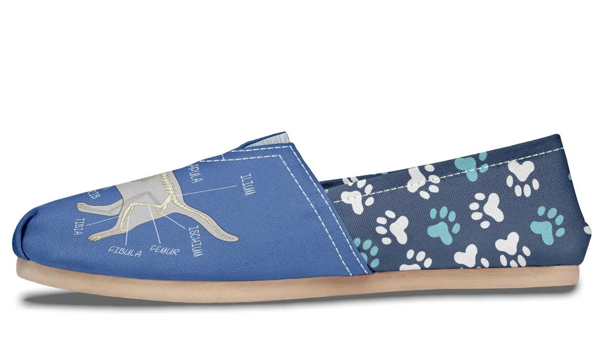 Veterinary Skeletal Diagram Casual Shoes