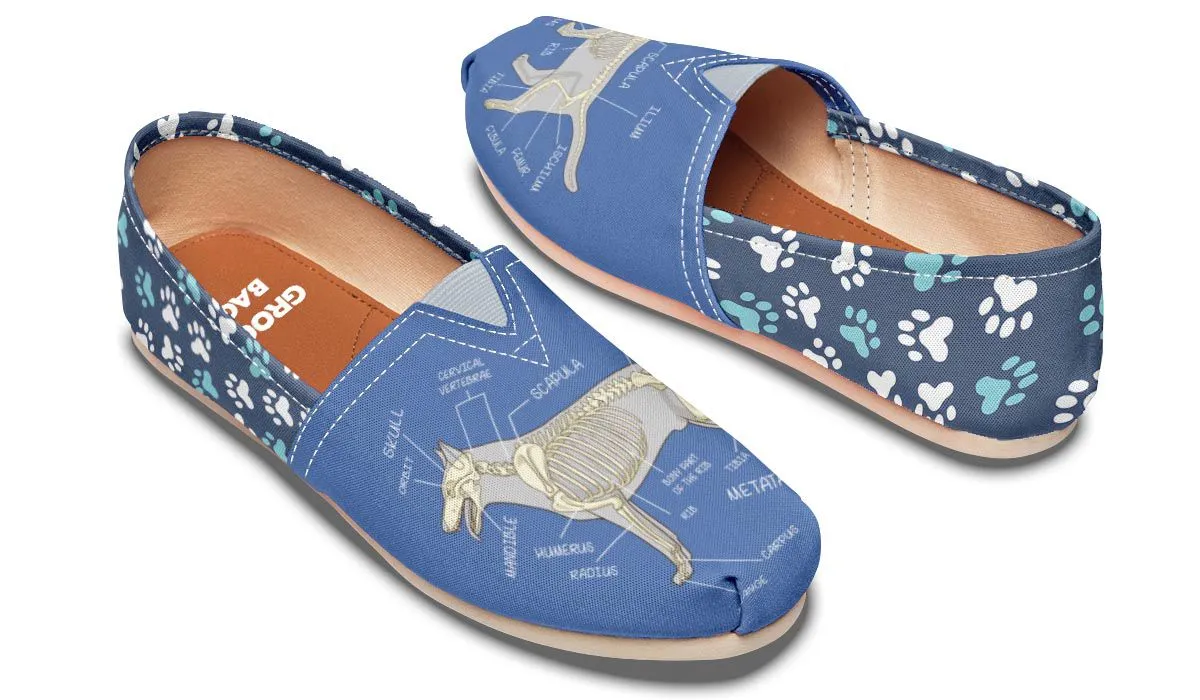 Veterinary Skeletal Diagram Casual Shoes