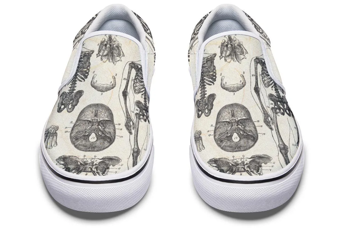 Vintage Anatomy Slip-On Shoes