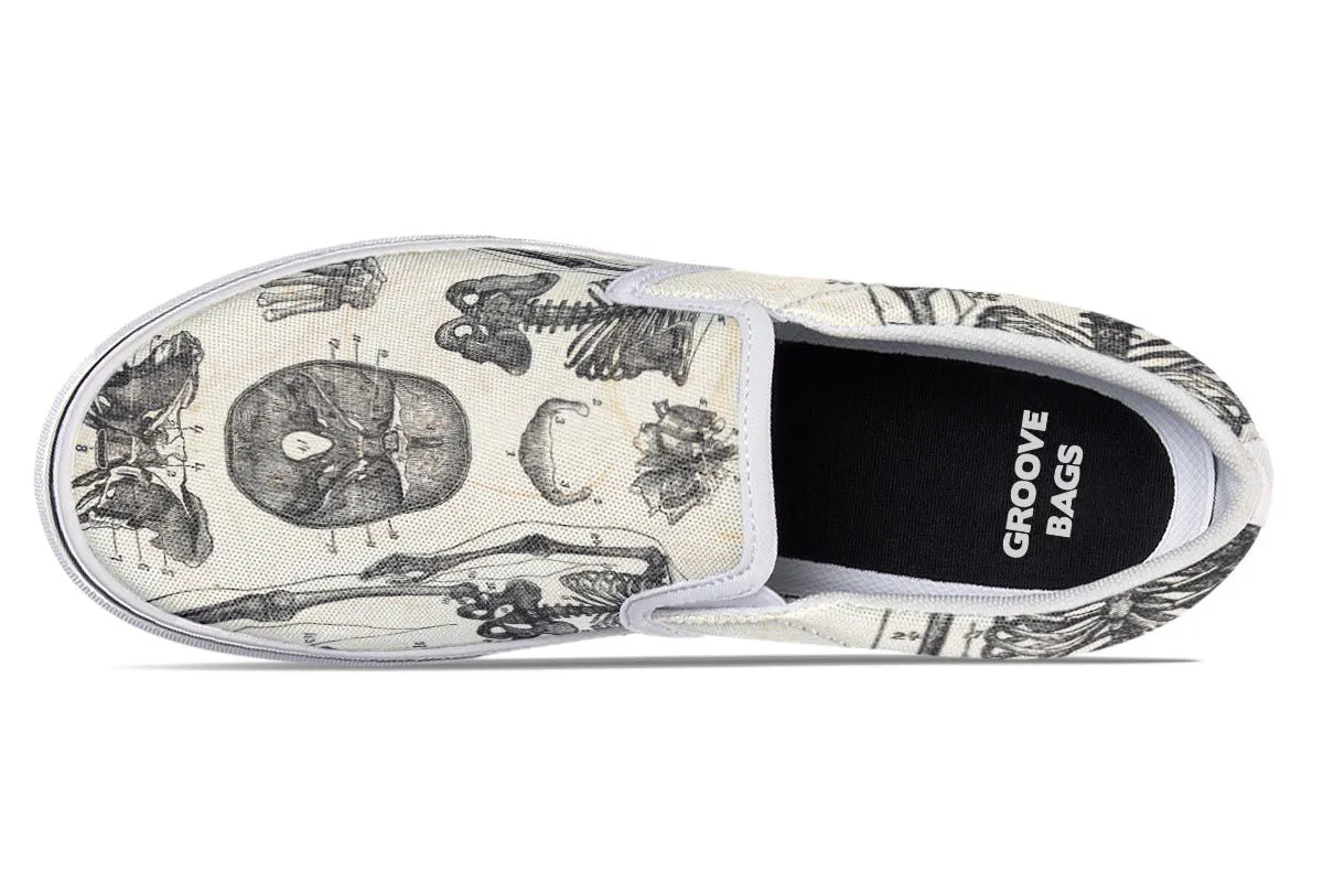 Vintage Anatomy Slip-On Shoes