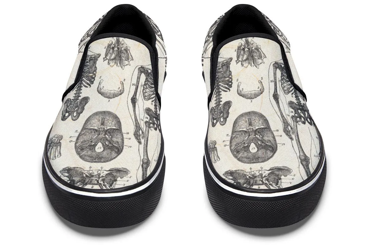 Vintage Anatomy Slip-On Shoes