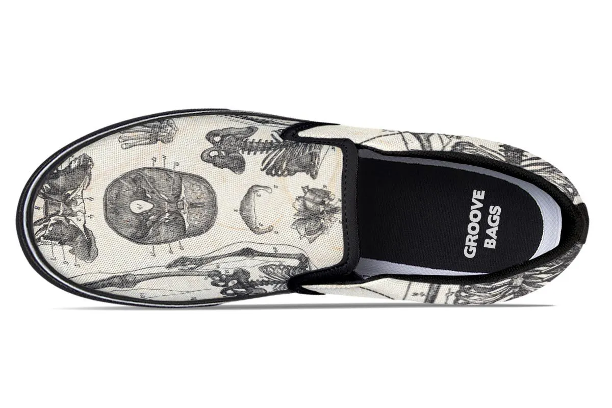 Vintage Anatomy Slip-On Shoes