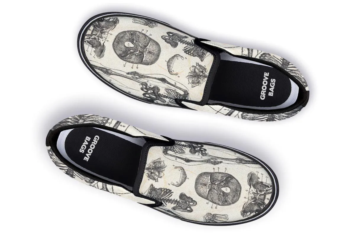 Vintage Anatomy Slip-On Shoes